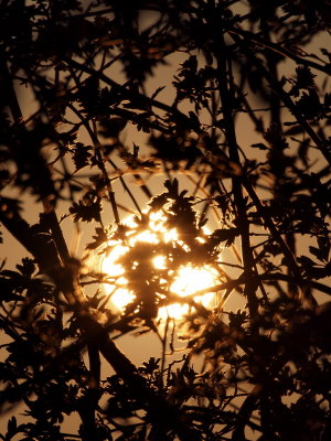 20120122.jpg