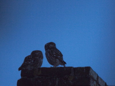 20120123.jpg