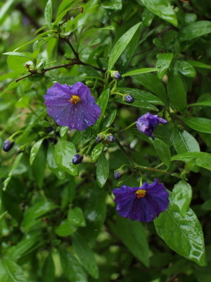 20120125.jpg