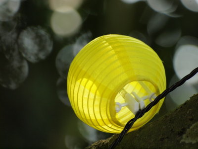 20120129.jpg