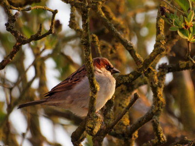 20120205.jpg