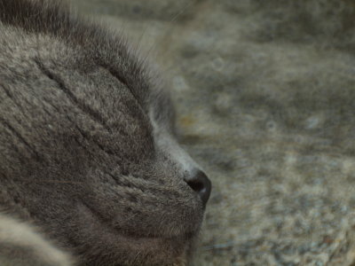 20120206.jpg