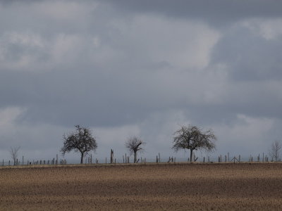 20120305.jpg
