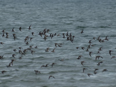 20120307.jpg