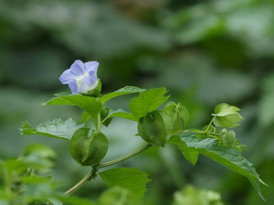20120312.jpg