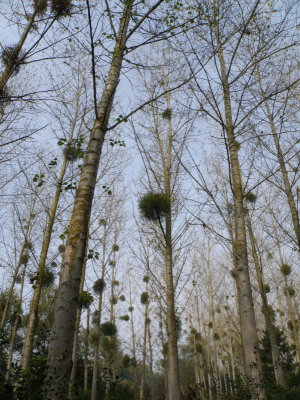 20120316.jpg