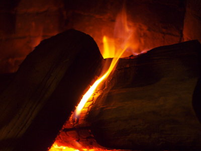 20120317.jpg