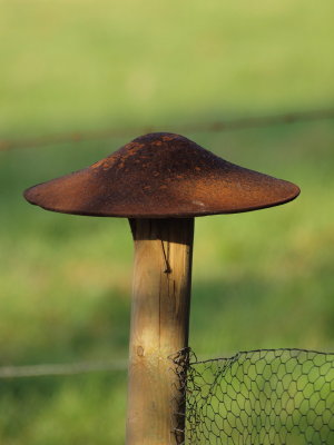20120323.jpg