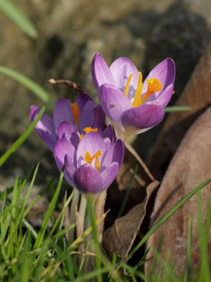 20120325.jpg