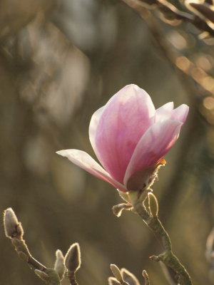 20120329.jpg