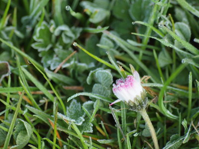 2012 04