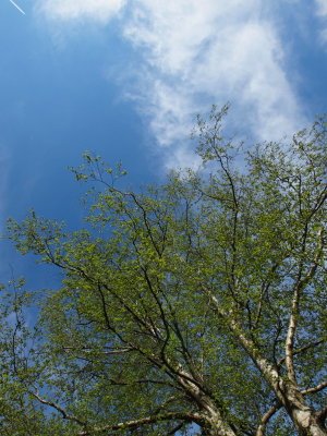 20120505.jpg