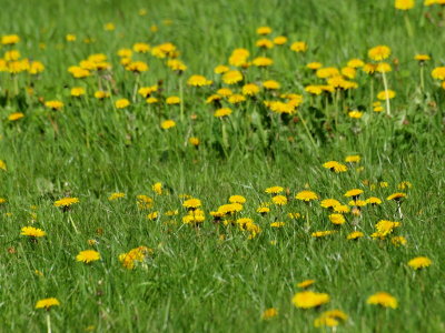 20120506.jpg
