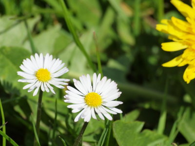 20120507.jpg