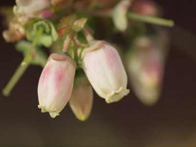 20120509.jpg