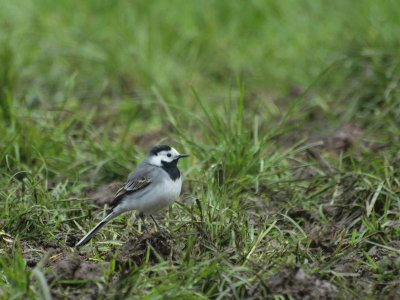 20120510.jpg