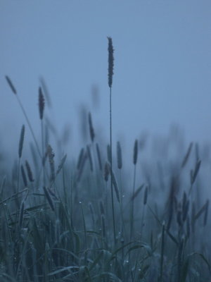20120512.jpg