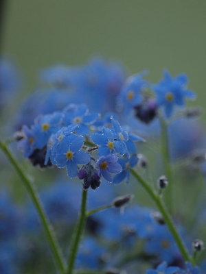 20120515.jpg