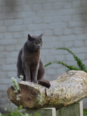 20120517.jpg