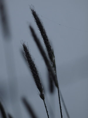 20120518.jpg