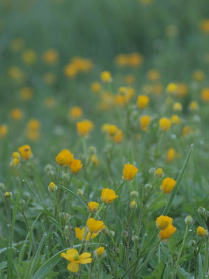 20120520.jpg