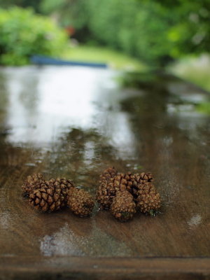 20120915.jpg