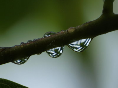 20120917.jpg