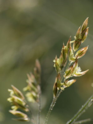 20120919.jpg