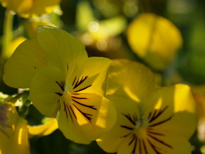 20120920.jpg
