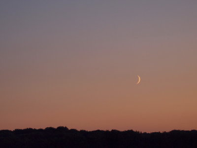 20120921.jpg