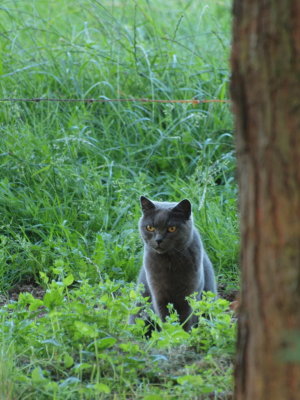 20120922.jpg
