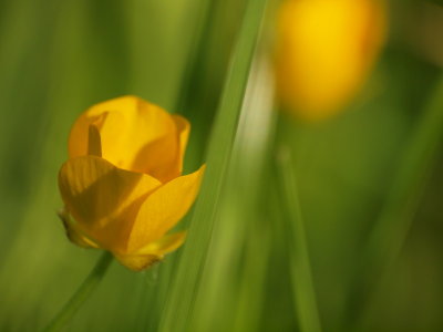 20120923.jpg