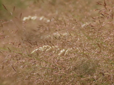 20120924.jpg