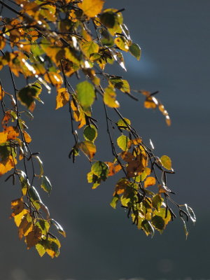 20121115.jpg