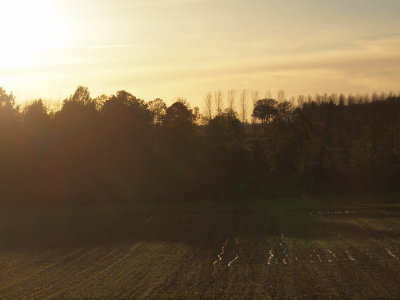 20121120.jpg