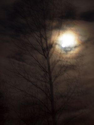 20121121.jpg