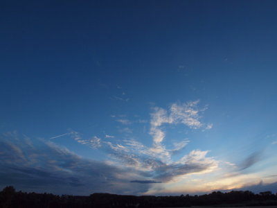20121126.jpg