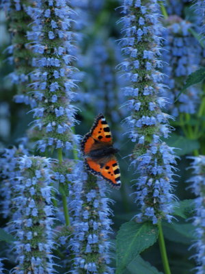 20121128.jpg