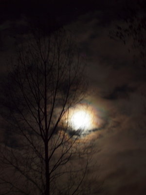 20121129.jpg