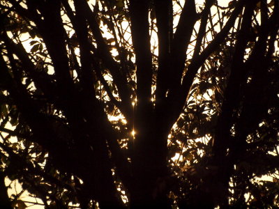 20121209.jpg