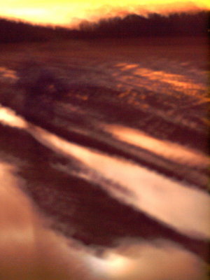 20121210.jpg