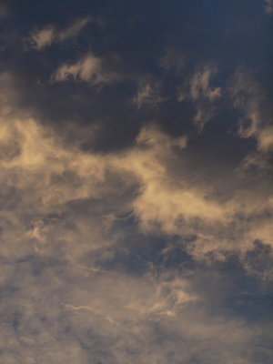 20121212.jpg