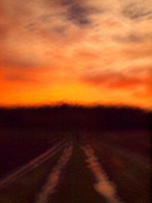 20121214.jpg