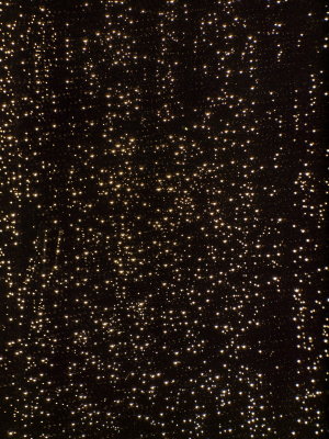 20121217.jpg