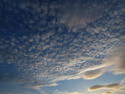 20121219.jpg