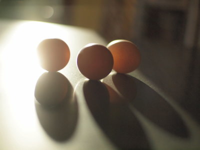 20121221.jpg