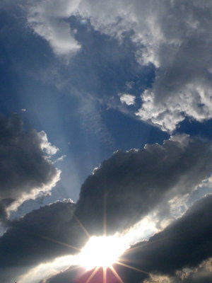 20090420.JPG