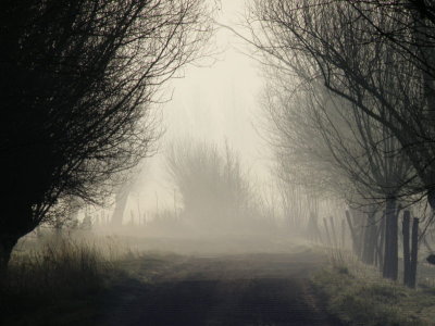 20090421.JPG