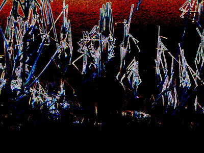 20090426.JPG