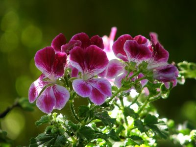 20090507.JPG